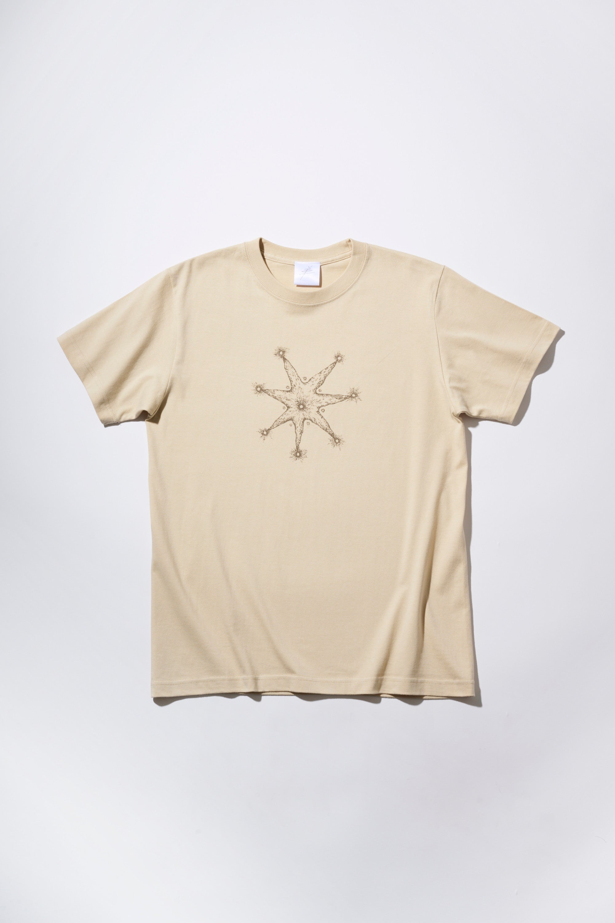 T_2023_Beige_1.